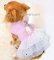 画像5: 【Sale】【在庫限り】【940円】【犬 服】うさちゃんのチュチュワンピース【メール便OK】