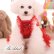 画像9: 在庫限り 犬の服 Sale  ラグジュアリー スパンコール＆チュチュDress【メール便無料】パーティー イベント