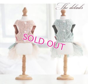 画像17: 犬 服 犬の服 Sale ドッグウェア ワンピース ドレス  セレブベアちゃんのレーシーチュチュDress【メール便可】パーティー イベント
