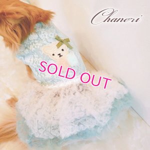 画像7: 犬 服 犬の服 Sale ドッグウェア ワンピース ドレス  セレブベアちゃんのレーシーチュチュDress【メール便可】パーティー イベント