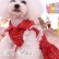画像10: 犬 服 犬の服 Sale ドッグウェア ワンピース ドレス  お上品なMKOツイードワンピース【メール便可】パーティー イベント