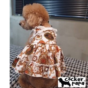 画像2: 愛犬の服【春夏新作】チェーンラグジュアリードレス【cockerpapa】コカパパ