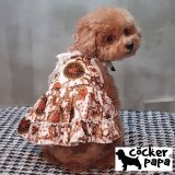 愛犬の服【春夏新作】チェーンラグジュアリードレス【cockerpapa】コカパパ