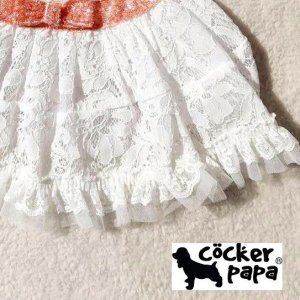 画像6: 愛犬の服【再入荷】ラグジュアリーリボンベルトのレースワンピース【cockerpapa】