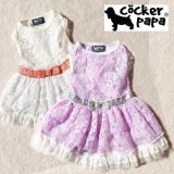 愛犬の服【再入荷】ラグジュアリーリボンベルトのレースワンピース【cockerpapa】