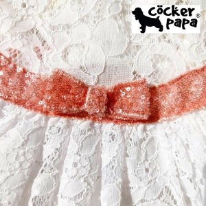 画像7: 愛犬の服【再入荷】ラグジュアリーリボンベルトのレースワンピース【cockerpapa】