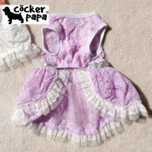 画像10: 愛犬の服【再入荷】ラグジュアリーリボンベルトのレースワンピース【cockerpapa】