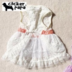画像9: 愛犬の服【再入荷】ラグジュアリーリボンベルトのレースワンピース【cockerpapa】