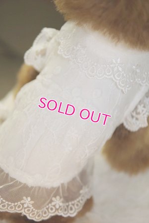 画像7: 愛犬服【初入荷】リボン付き　ホワイトレースのCoat dress【メール便OK】