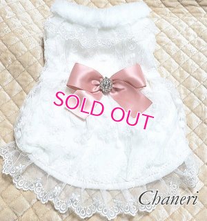 画像3: 愛犬服【初入荷】リボン付き　ホワイトレースのCoat dress【メール便OK】