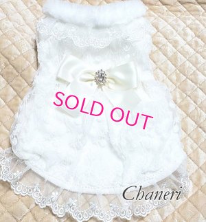 画像4: 愛犬服【初入荷】リボン付き　ホワイトレースのCoat dress【メール便OK】