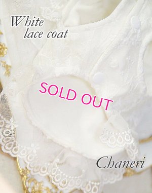 画像10: 愛犬服【初入荷】リボン付き　ホワイトレースのCoat dress【メール便OK】