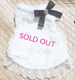 画像2: 愛犬服【初入荷】リボン付き　ホワイトレースのCoat dress【メール便OK】