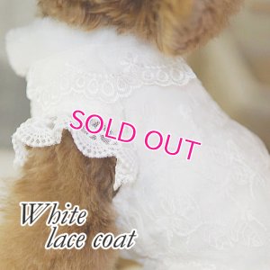 画像6: 愛犬服【初入荷】リボン付き　ホワイトレースのCoat dress【メール便OK】