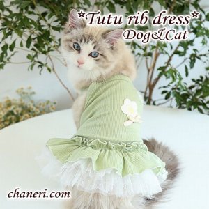 画像6: 【犬 服】【限定Sale999円】【春 夏】Petstyle オシャレくすみカ ラーのリブキャミワンピース【メ ール便OK】