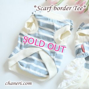 画像5: 【犬 服】【Sale】【在庫限り】Petstyle スカーフスタイルのボーダーTEE【メール便OK】最終値下げ　