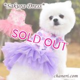  【犬 服】【sale】【春夏】Sakuraモチーフチュチュフリルのワンピース【メール便OK】