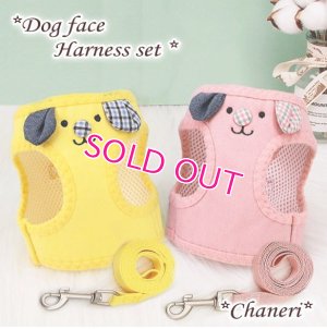 画像1: 期間限定Sale[880円][メール便OK]わんちゃんハーネス＆リード/Boy/Girl