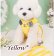 画像12: 期間限定Sale[880円][メール便OK]わんちゃんハーネス＆リード/Boy/Girl
