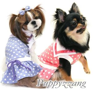 画像1: 【在庫処分Sale】愛犬服/セーラーカラーの水玉ワンピース（Puppyzzang）メール便OK