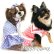 画像1: 【在庫処分Sale】愛犬服/セーラーカラーの水玉ワンピース（Puppyzzang）メール便OK (1)