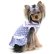 画像2: 【在庫処分Sale】愛犬服/セーラーカラーの水玉ワンピース（Puppyzzang）メール便OK