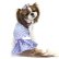 画像11: 【在庫処分Sale】愛犬服/セーラーカラーの水玉ワンピース（Puppyzzang）メール便OK