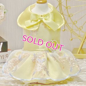 画像7: 【在庫限り】犬 服【イエロー】【M】サテンと刺しゅうレースのワンピース　ドレス
