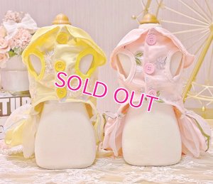 画像6: 【在庫限り】犬 服【イエロー】【M】サテンと刺しゅうレースのワンピース　ドレス