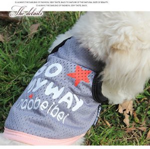 画像6: 【値下げ】【犬 服】【Sale】【780円】CuteなメッシュTEE【メール便OK】