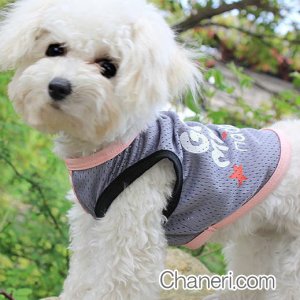 画像2: 【値下げ】【犬 服】【Sale】【780円】CuteなメッシュTEE【メール便OK】