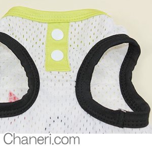 画像13: 【値下げ】【犬 服】【Sale】【780円】CuteなメッシュTEE【メール便OK】