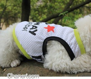 画像12: 【値下げ】【犬 服】【Sale】【780円】CuteなメッシュTEE【メール便OK】