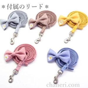 画像10: 値下げ　セール　ナチュラルカラー　デイジー刺しゅうのハーネス＆リードのセット【メール便OK】