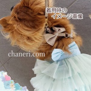 画像15: 値下げ　セール　ナチュラルカラー　デイジー刺しゅうのハーネス＆リードのセット【メール便OK】