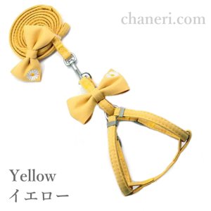 画像8: 値下げ　セール　ナチュラルカラー　デイジー刺しゅうのハーネス＆リードのセット【メール便OK】