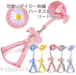 画像2: 値下げ　セール　ナチュラルカラー　デイジー刺しゅうのハーネス＆リードのセット【メール便OK】