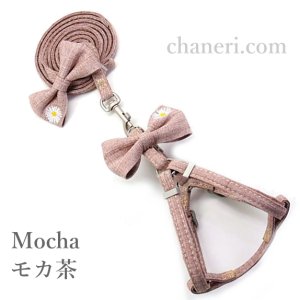 画像9: 値下げ　セール　ナチュラルカラー　デイジー刺しゅうのハーネス＆リードのセット【メール便OK】