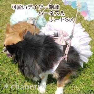 画像3: 値下げ　セール　ナチュラルカラー　デイジー刺しゅうのハーネス＆リードのセット【メール便OK】