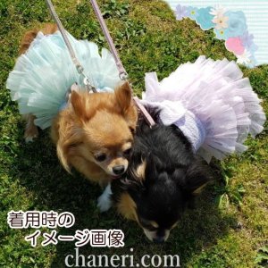 画像16: 値下げ　セール　ナチュラルカラー　デイジー刺しゅうのハーネス＆リードのセット【メール便OK】