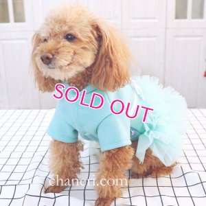 画像4: 犬 服 犬の服【在庫sale】【限定販売】ティファニーブルー の チュチュDress【メール便可】パーティー イベントセレクト import