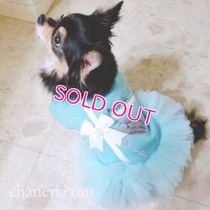 画像10: 犬 服 犬の服【在庫sale】【限定販売】ティファニーブルー の チュチュDress【メール便可】パーティー イベントセレクト import