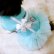 画像11: 犬 服 犬の服【在庫sale】【限定販売】ティファニーブルー の チュチュDress【メール便可】パーティー イベントセレクト import