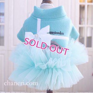 画像1: 犬 服 犬の服【在庫sale】【限定販売】ティファニーブルー の チュチュDress【メール便可】パーティー イベントセレクト import