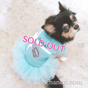 画像13: 犬 服 犬の服【在庫sale】【限定販売】ティファニーブルー の チュチュDress【メール便可】パーティー イベントセレクト import