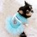画像13: 犬 服 犬の服【在庫sale】【限定販売】ティファニーブルー の チュチュDress【メール便可】パーティー イベントセレクト import