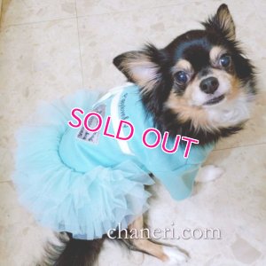 画像14: 犬 服 犬の服【在庫sale】【限定販売】ティファニーブルー の チュチュDress【メール便可】パーティー イベントセレクト import