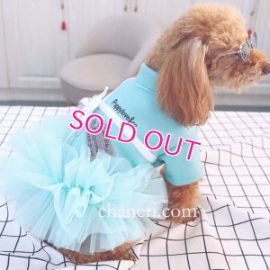 画像3: 犬 服 犬の服【在庫sale】【限定販売】ティファニーブルー の チュチュDress【メール便可】パーティー イベントセレクト import