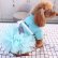 画像3: 犬 服 犬の服【秋冬】【限定販売】ティファニーブルー の チュチュDress【メール便可】パーティー イベントセレクト import