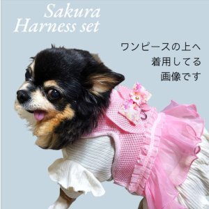 画像7: 愛犬用 犬服 ペット用 ハーネス SET 豪華 フリル ハーネス リード セット キラキラ 桜 ピンク メール便発送